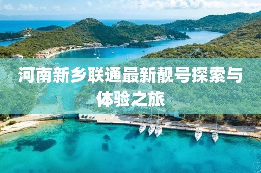 河南新乡联通最新靓号探索与体验之旅