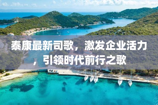 泰康最新司歌，激发企业活力，引领时代前行之歌