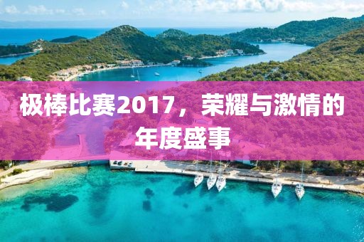 极棒比赛2017，荣耀与激情的年度盛事