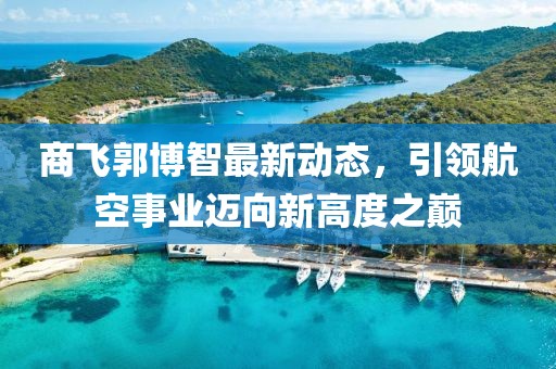 商飞郭博智最新动态，引领航空事业迈向新高度之巅