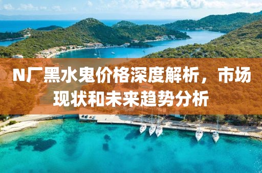 N厂黑水鬼价格深度解析，市场现状和未来趋势分析