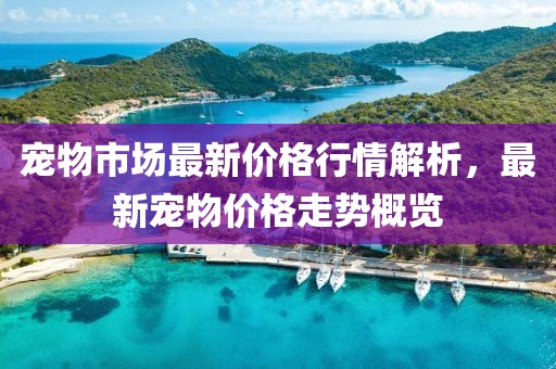 宠物市场最新价格行情解析，最新宠物价格走势概览