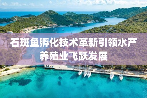 石斑鱼孵化技术革新引领水产养殖业飞跃发展