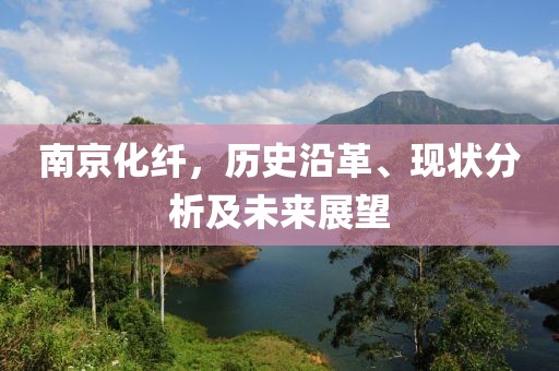 南京化纤，历史沿革、现状分析及未来展望