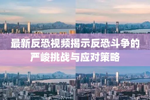 最新反恐视频揭示反恐斗争的严峻挑战与应对策略