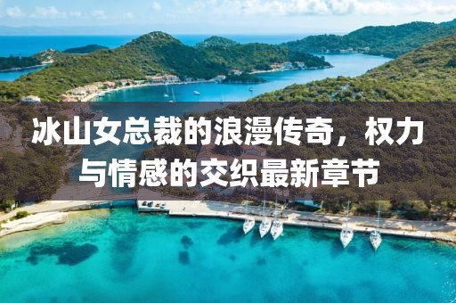 冰山女总裁的浪漫传奇，权力与情感的交织最新章节