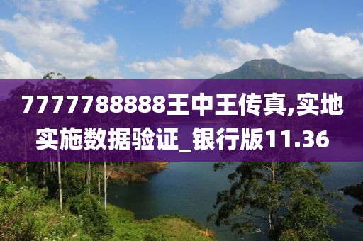 7777788888王中王传真,实地实施数据验证_银行版11.36