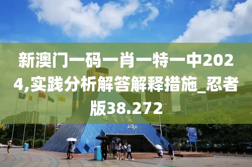 新澳门一码一肖一特一中2024,实践分析解答解释措施_忍者版38.272