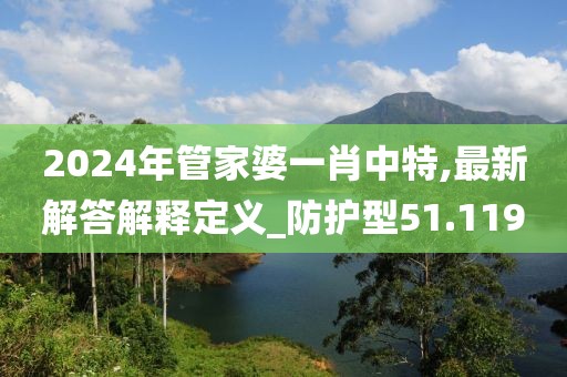 2024年管家婆一肖中特,最新解答解释定义_防护型51.119