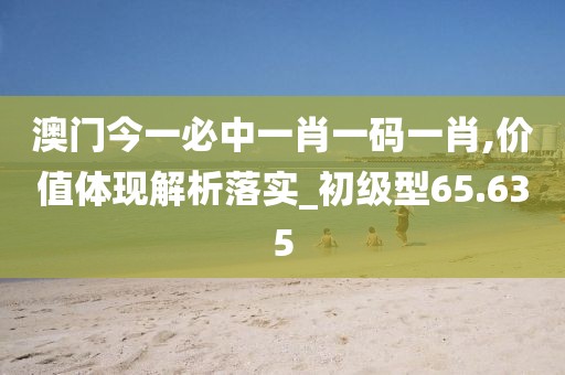 澳门今一必中一肖一码一肖,价值体现解析落实_初级型65.635