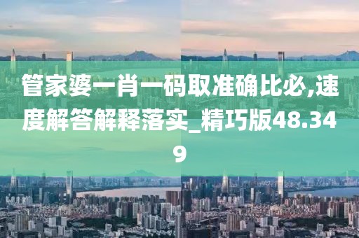 管家婆一肖一码取准确比必,速度解答解释落实_精巧版48.349