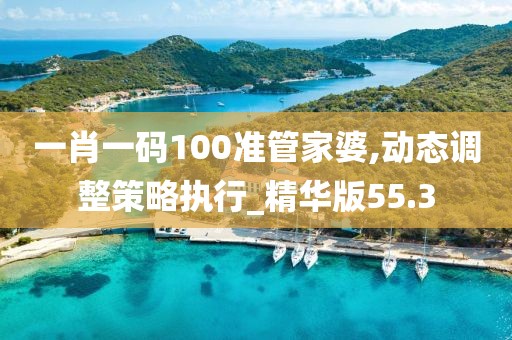 一肖一码100准管家婆,动态调整策略执行_精华版55.3