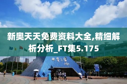 新奥天天免费资料大全,精细解析分析_FT集5.175