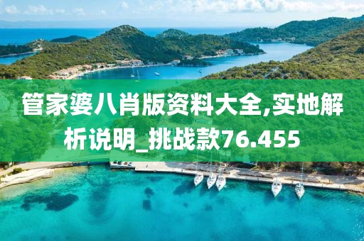 管家婆八肖版资料大全,实地解析说明_挑战款76.455