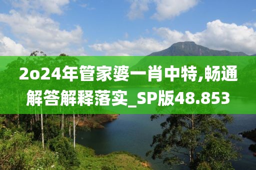 2o24年管家婆一肖中特,畅通解答解释落实_SP版48.853