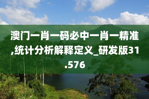 澳门一肖一码必中一肖一精准,统计分析解释定义_研发版31.576