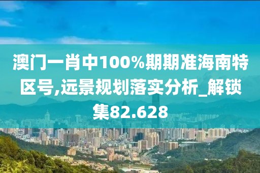 澳门一肖中100%期期准海南特区号,远景规划落实分析_解锁集82.628