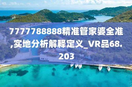 7777788888精准管家婆全准,实地分析解释定义_VR品68.203