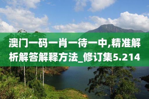 澳门一码一肖一待一中,精准解析解答解释方法_修订集5.214