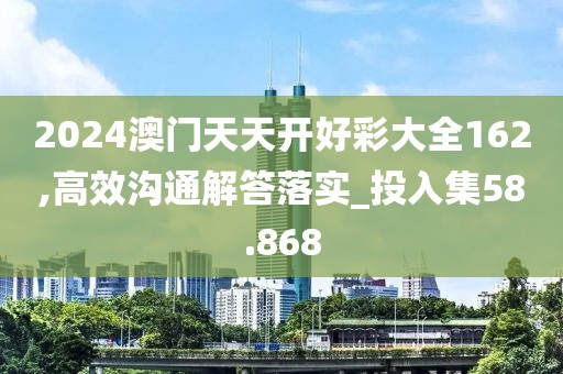 2024澳门天天开好彩大全162,高效沟通解答落实_投入集58.868