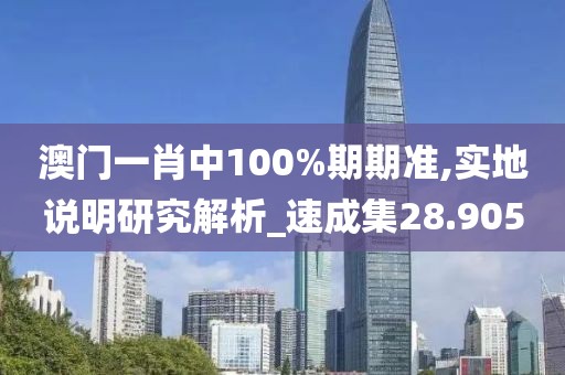 澳门一肖中100%期期准,实地说明研究解析_速成集28.905