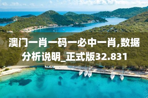 澳门一肖一码一必中一肖,数据分析说明_正式版32.831