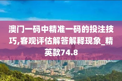 澳门一码中精准一码的投注技巧,客观评估解答解释现象_精英款74.8