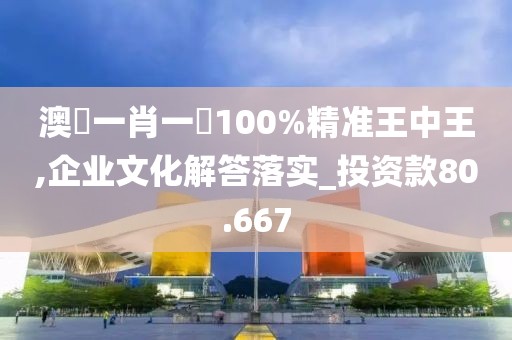 澳門一肖一碼100%精准王中王,企业文化解答落实_投资款80.667