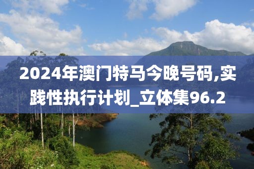 2024年澳门特马今晚号码,实践性执行计划_立体集96.2