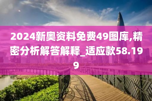 2024新奥资料免费49图库,精密分析解答解释_适应款58.199