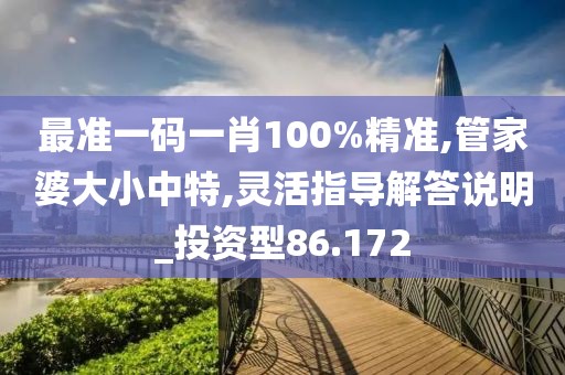 最准一码一肖100%精准,管家婆大小中特,灵活指导解答说明_投资型86.172