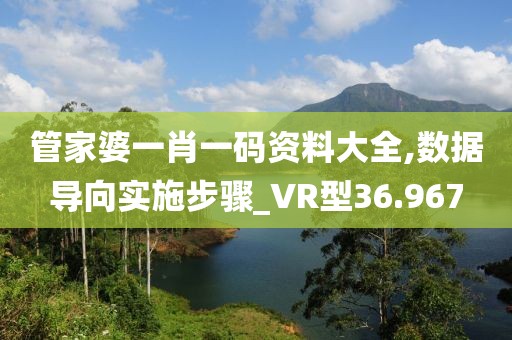 管家婆一肖一码资料大全,数据导向实施步骤_VR型36.967