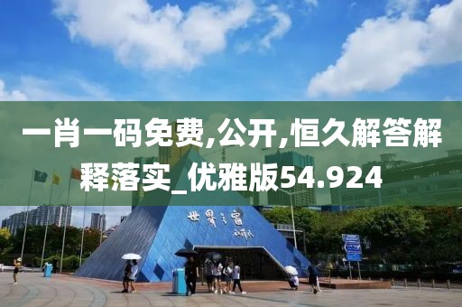 一肖一码免费,公开,恒久解答解释落实_优雅版54.924