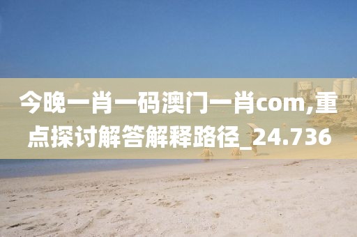 今晚一肖一码澳门一肖com,重点探讨解答解释路径_24.736