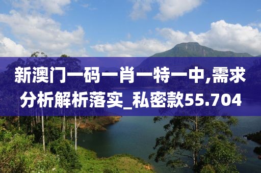 新澳门一码一肖一特一中,需求分析解析落实_私密款55.704