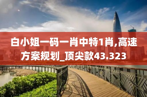 白小姐一码一肖中特1肖,高速方案规划_顶尖款43.323