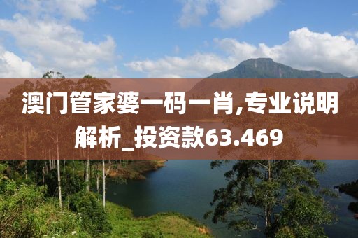 澳门管家婆一码一肖,专业说明解析_投资款63.469