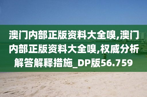 澳门内部正版资料大全嗅,澳门内部正版资料大全嗅,权威分析解答解释措施_DP版56.759