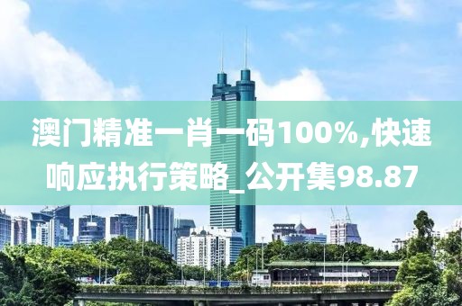 澳门精准一肖一码100%,快速响应执行策略_公开集98.87