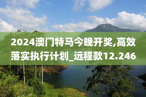 2024澳门特马今晚开奖,高效落实执行计划_远程款12.246