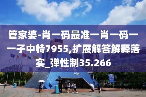 管家婆-肖一码最准一肖一码一一子中特7955,扩展解答解释落实_弹性制35.266