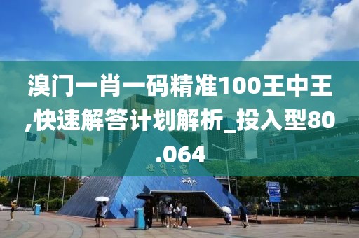 溴门一肖一码精准100王中王,快速解答计划解析_投入型80.064