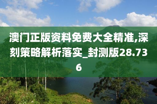 澳门正版资料免费大全精准,深刻策略解析落实_封测版28.736