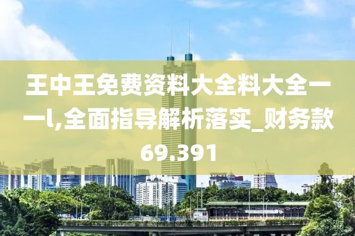 王中王免费资料大全料大全一一l,全面指导解析落实_财务款69.391