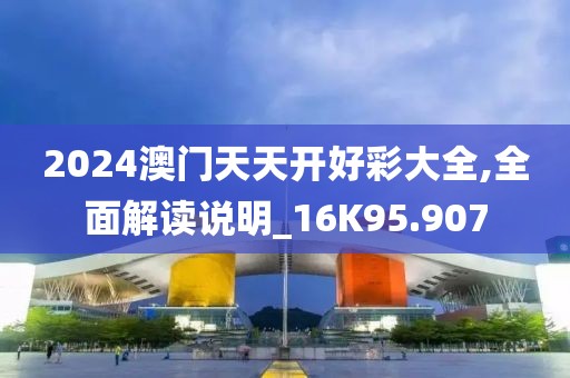 2024澳门天天开好彩大全,全面解读说明_16K95.907