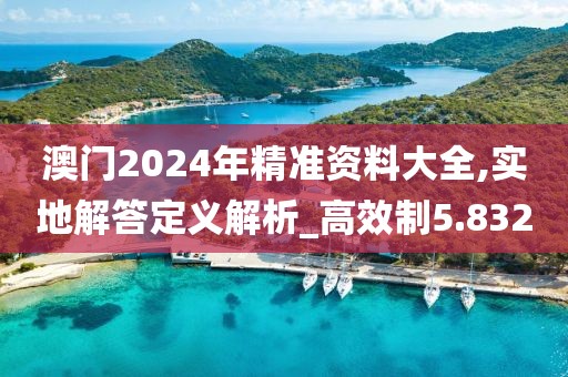 澳门2024年精准资料大全,实地解答定义解析_高效制5.832