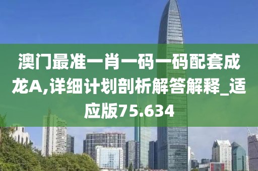 澳门最准一肖一码一码配套成龙A,详细计划剖析解答解释_适应版75.634