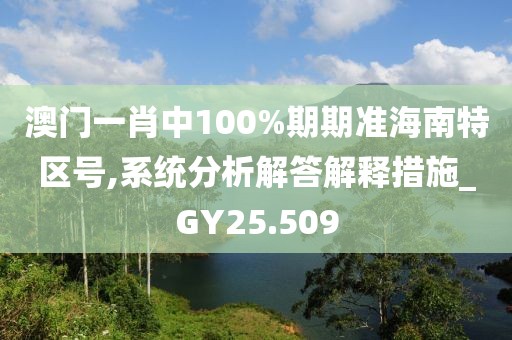 澳门一肖中100%期期准海南特区号,系统分析解答解释措施_GY25.509