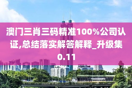 澳门三肖三码精准100%公司认证,总结落实解答解释_升级集0.11