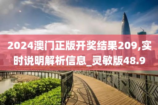 2024澳门正版开奖结果209,实时说明解析信息_灵敏版48.9